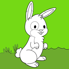 Coloriage : Rabbit In The Garden