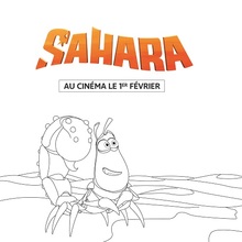 Sahara : Pitt