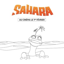 Sahara : Poisson