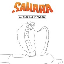 Sahara : Ajar
