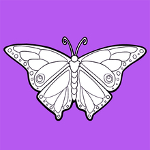 Coloriage : Le papillon