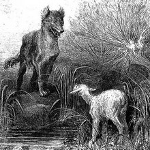Histoire : Le Loup et l'Agneau