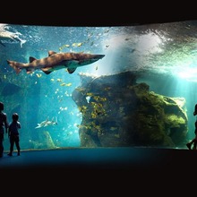 Histoire : L'aquarium de La Rochelle