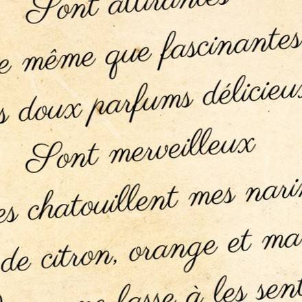 Poèmes sur les fleurs - 7 poésies écrites par des enfants